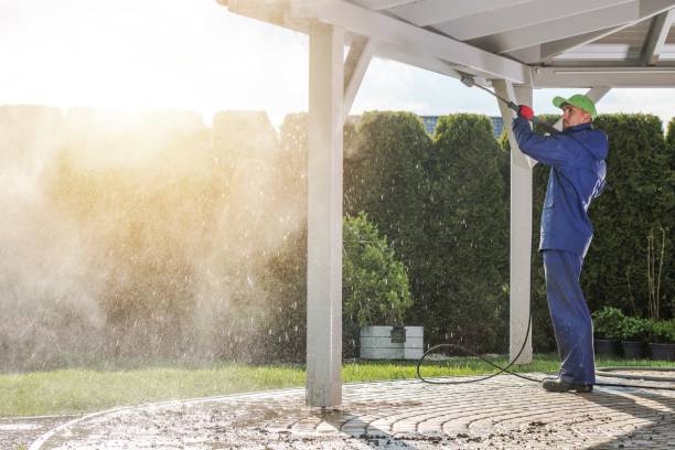 Animal Enclosure Cleaning in Lake Placid, FL