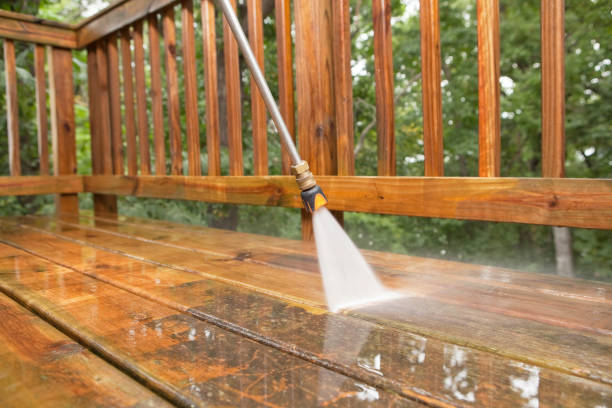 Best Pool Deck Cleaning  in Lake Placid, FL